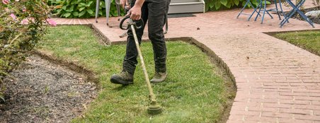 Berufsschule Werker/in im Gartenbau